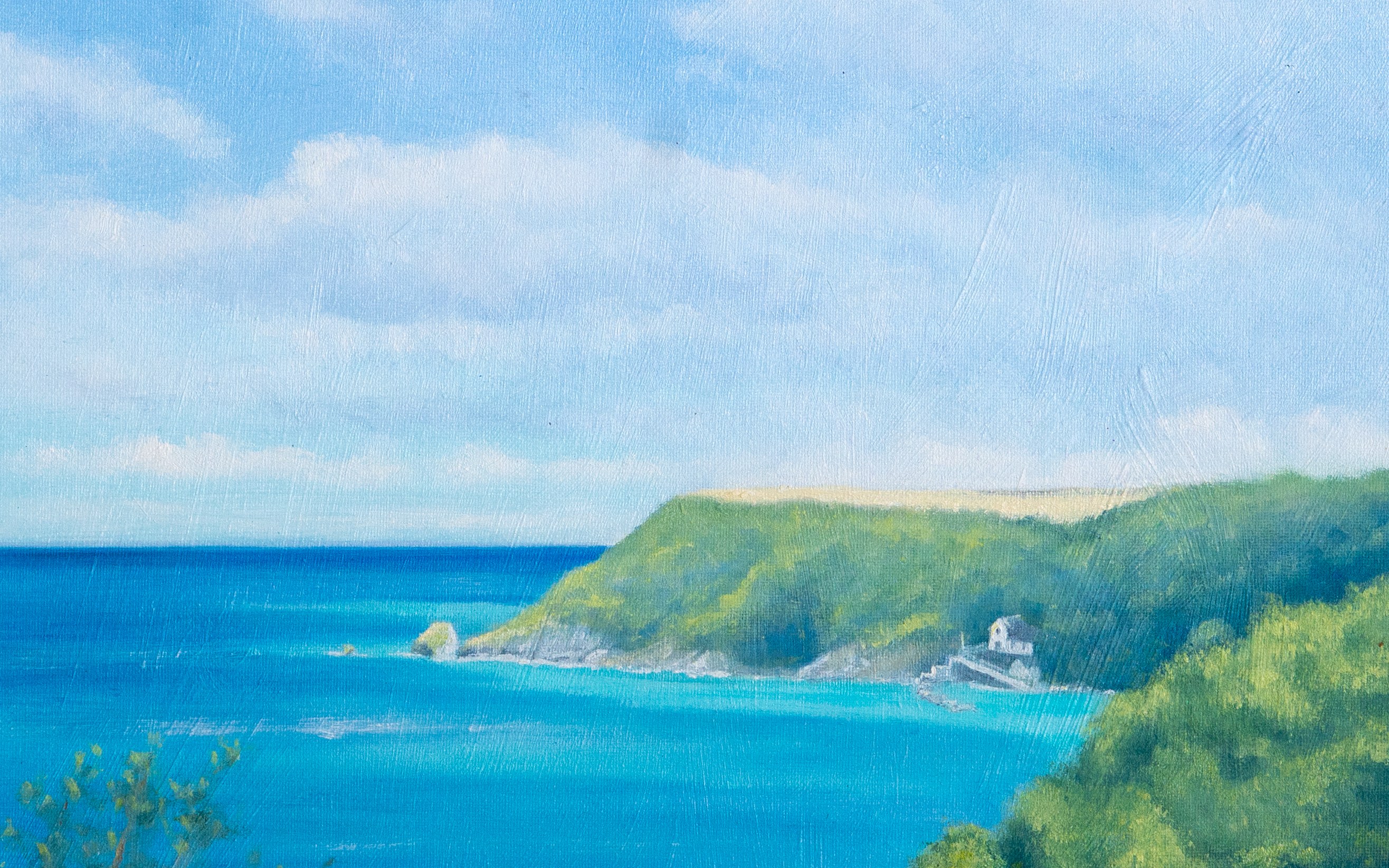 The Cove