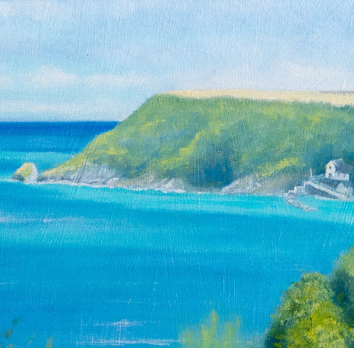 Detail — The Cove