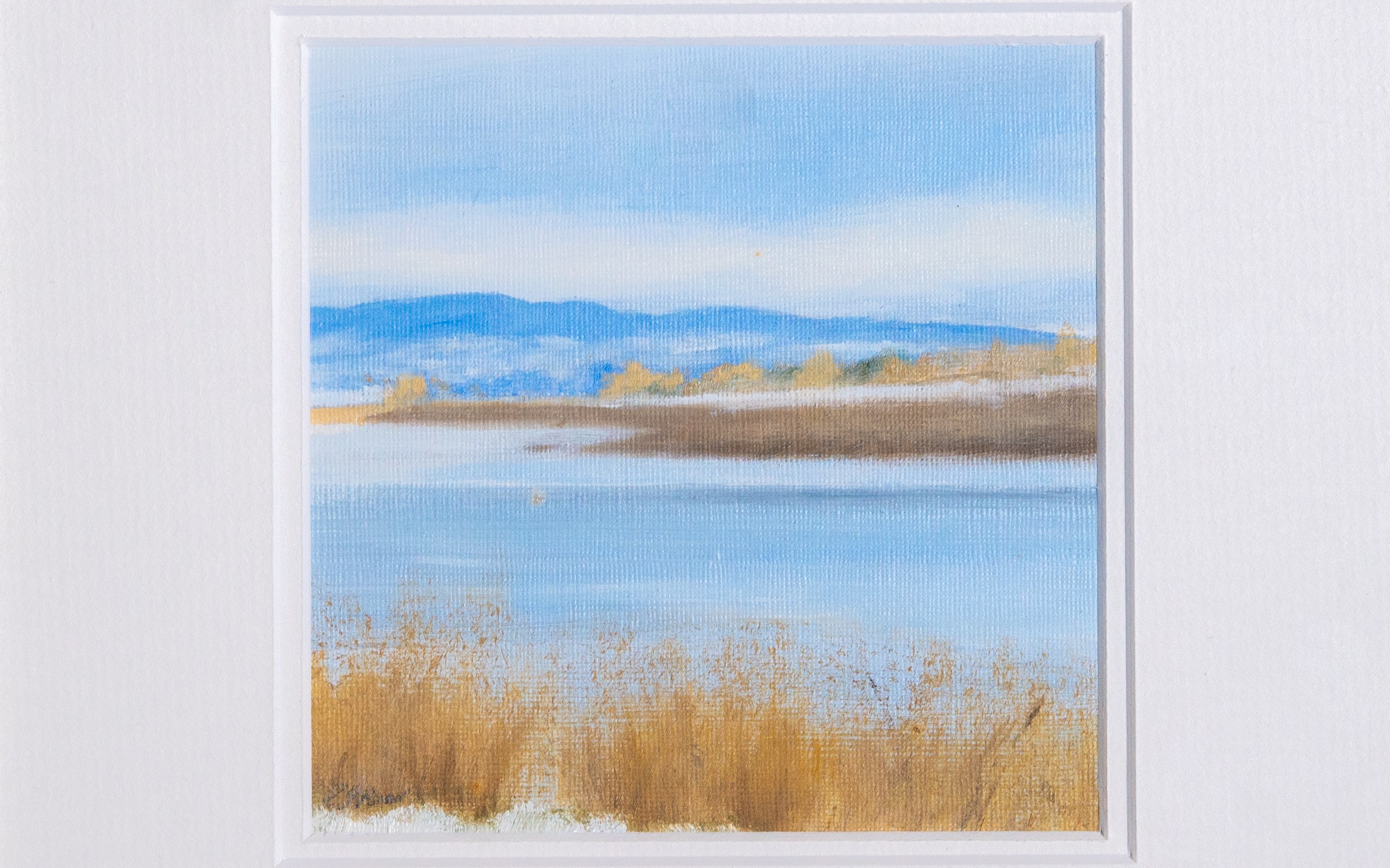 Winter Reeds